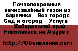 Почвопокровный, вечнозелёный газон из барвинка - Все города Сад и огород » Услуги   . Хабаровский край,Николаевск-на-Амуре г.